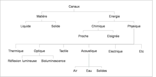 Classification Sebeok